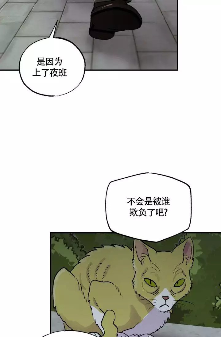 漫画《双胞胎和我》《夏菲菲的兔子》