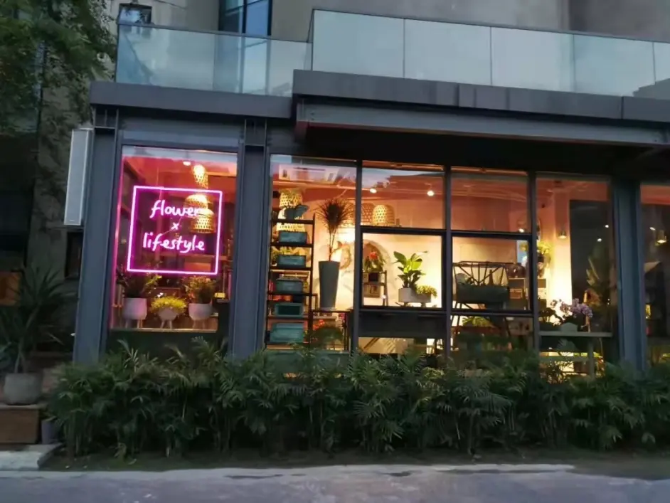 从 三角花屋 到 荷维式 劳姐和她的 千城万店 哔哩哔哩 从 三角花屋 到 荷维式 劳姐和她的 千城万店 哔哩哔哩