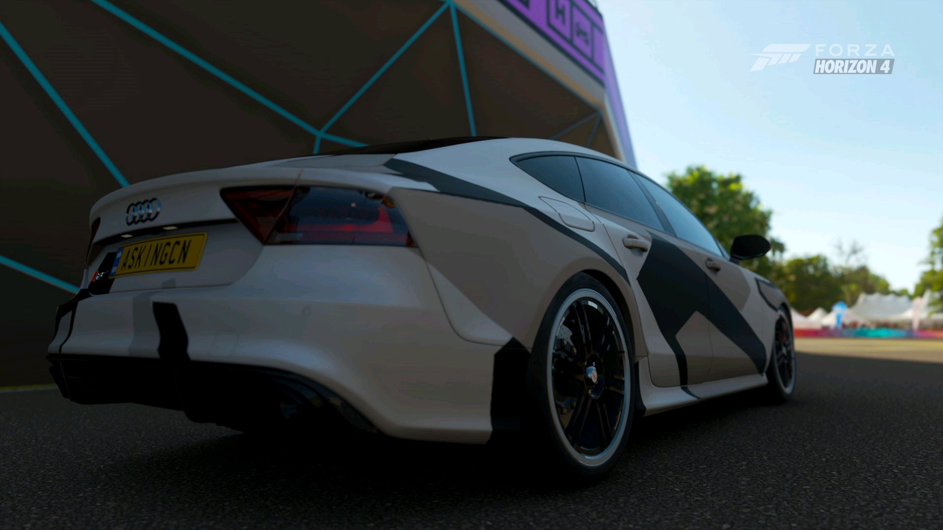 用大佬做的涂装拍的照片(地平线4)