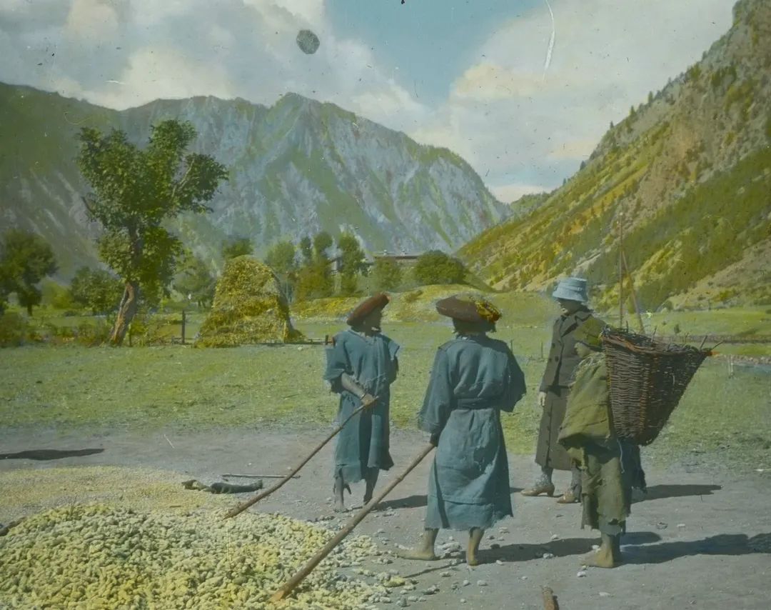 新疆地区历史上的部落与文明：一段传奇的史诗 哔哩哔哩