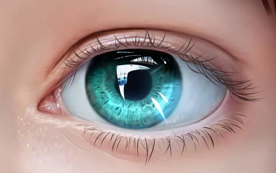 仔细观察眼睛,是由这几个部分组成的:上眼睑,下眼睑,眼裂,眼白,瞳孔