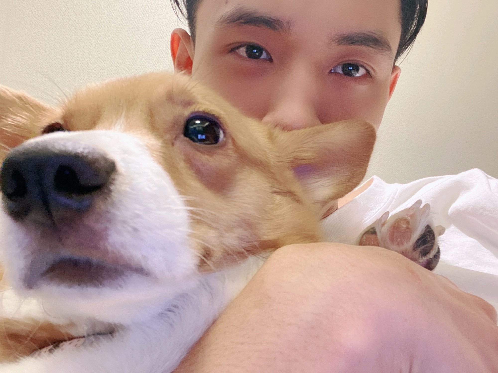 【秦霄贤×你】他不懂