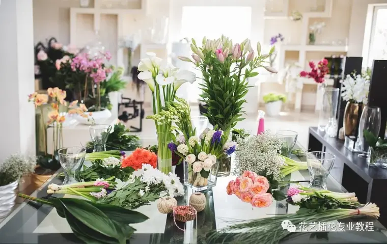 花艺教程 非常全面的鲜切花养护知识 哔哩哔哩