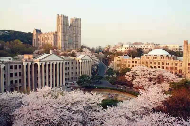 中央大學是韓國有名的私立大學.其中 電影系,戲劇系最負盛名.