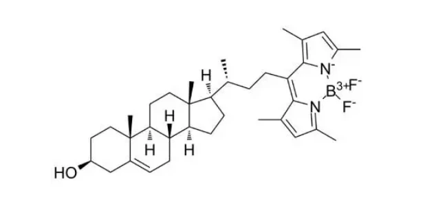 氟化硼二吡咯-胆固醇，BODIPY-cholesterol，可应用于生物成像和分子追踪领域 - 哔哩哔哩