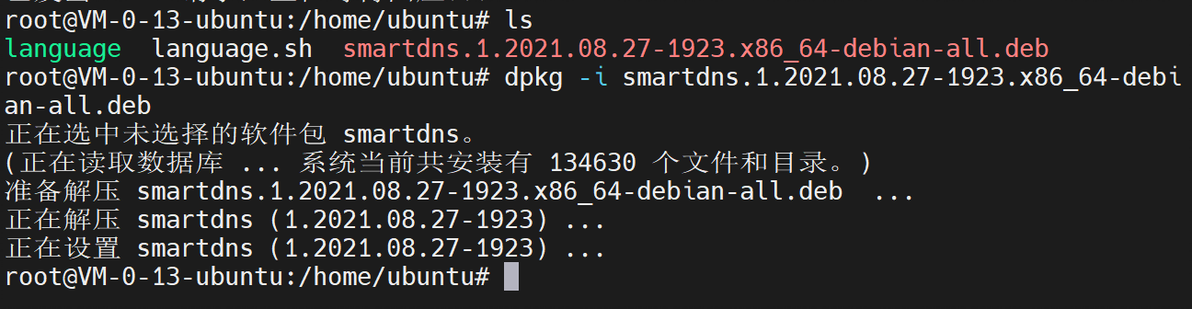 技术教程 在Ubuntu上部署你自己的DNS服务器 - 哔哩哔哩