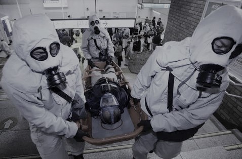 《Walking Dead》XV