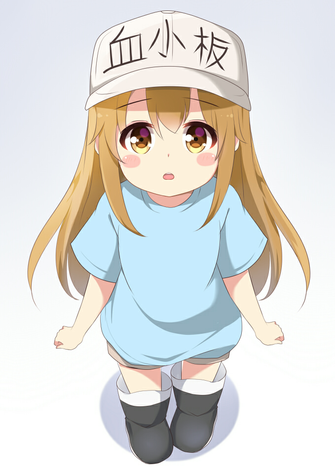 【工作细胞】可爱的血小板图分享