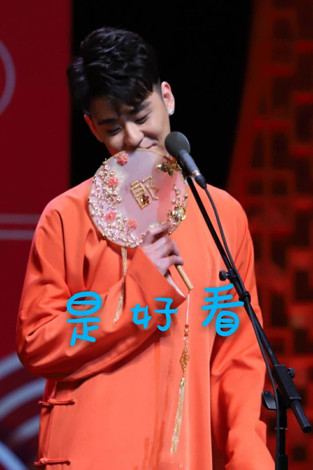 小先生(九辫儿)怀孕了~回忆