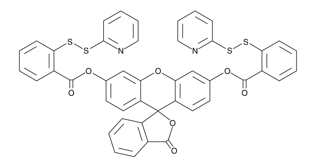 Wos 2 Operon świat Współczesny Sprawdzian WSP-5；硫化氢荧光探针 - 哔哩哔哩