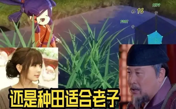年底黑马游戏它算一份 天穗之咲稻姬 种田及战斗俱佳的良心作 哔哩哔哩