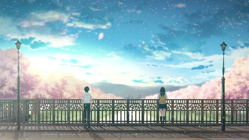 一个关于胰脏的暖心物语