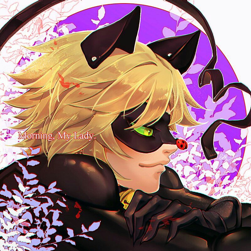 瓢虫雷迪同人第一章①