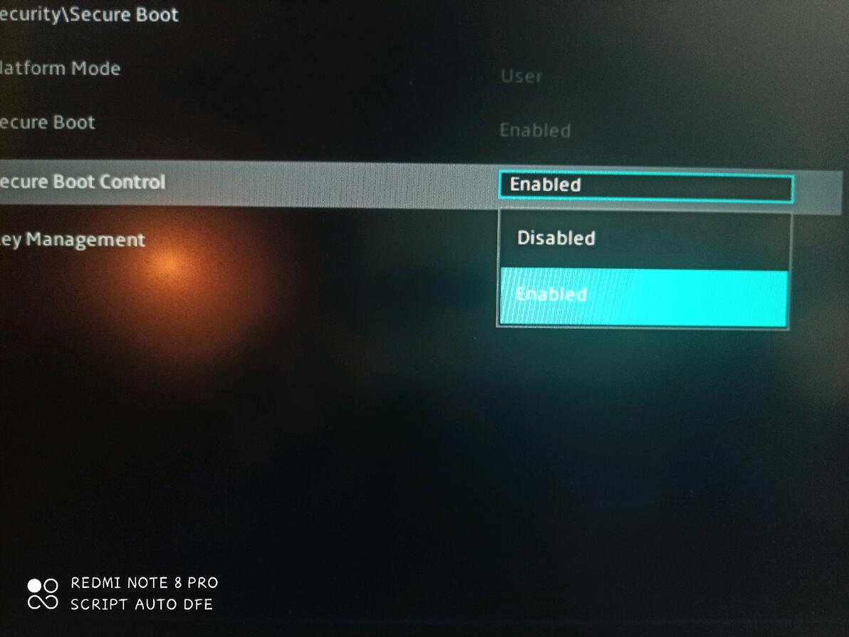  secure boot violation 