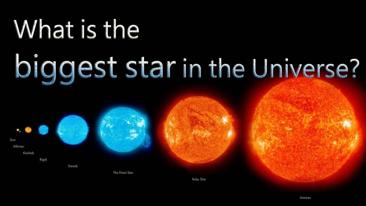 最大的恒星有多大图片