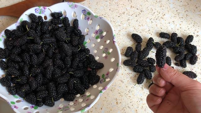 你还在买桑葚吃吗?知道的人不算多,看后麻烦转告身边人