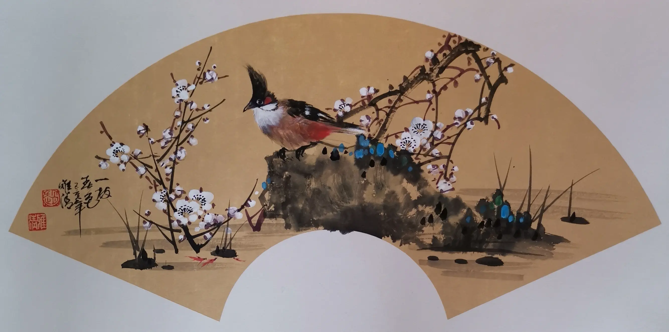 赵雅清10幅花鸟扇面,色彩鲜明,一幅更比一幅美 - 哔哩哔哩