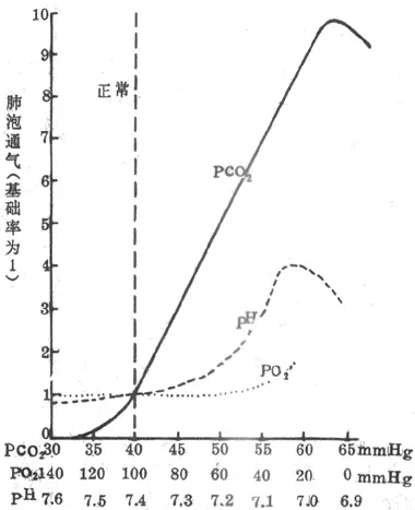 生理学 呼吸运动的调节 哔哩哔哩 生理学 呼吸运动的调节 哔哩哔哩
