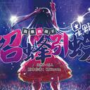 【染钟楼】剧本社区—第574期《招蜂引蝶》