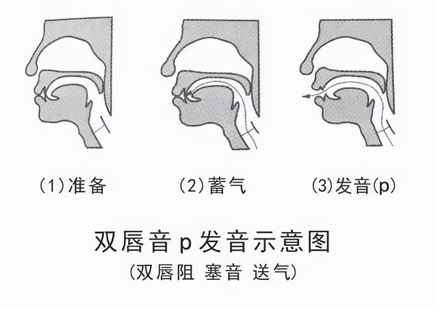 播音主持基本功训练之口部操练习