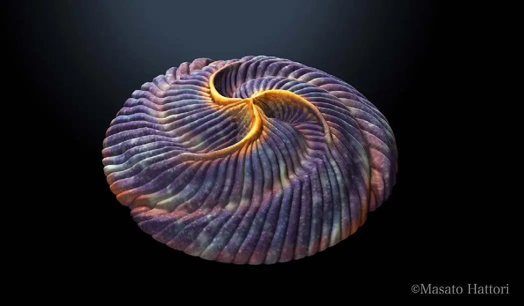 白海飞流紫塞空