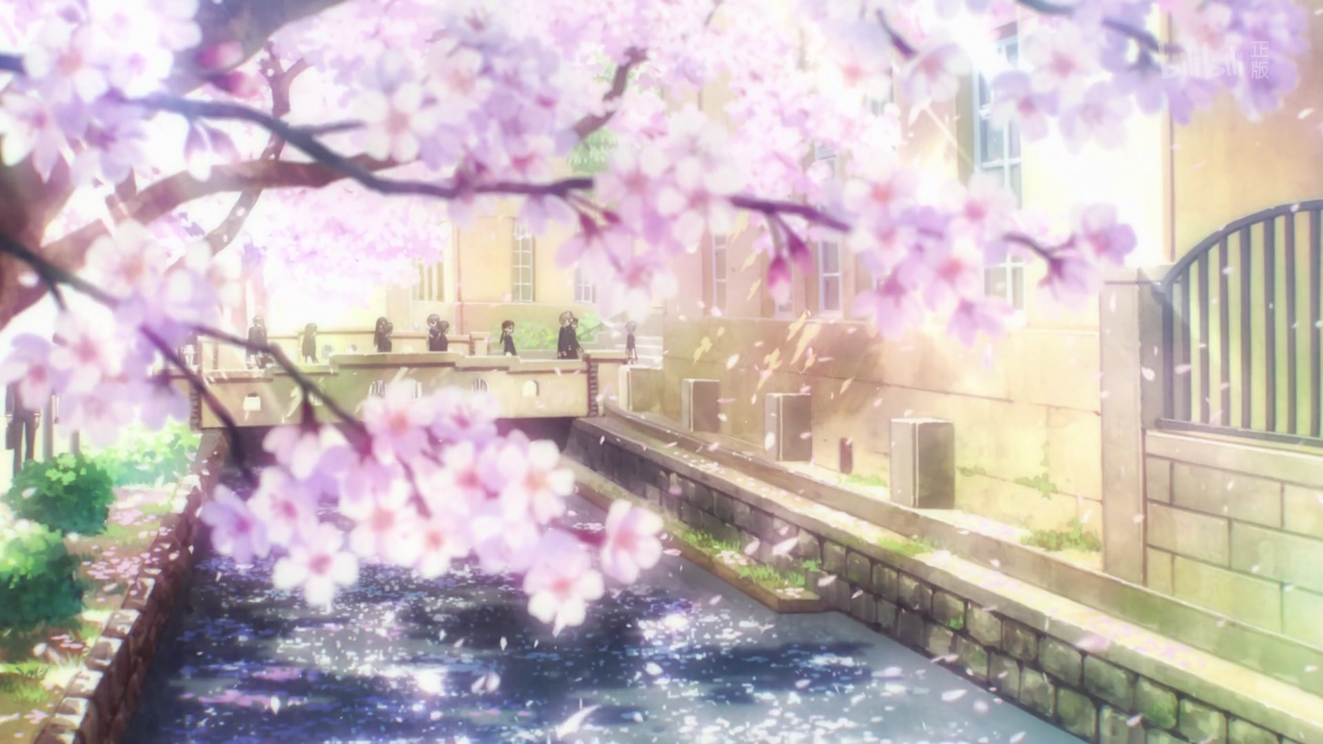 预告篇-探访"友枝"中学(京都市立立诚小学校)