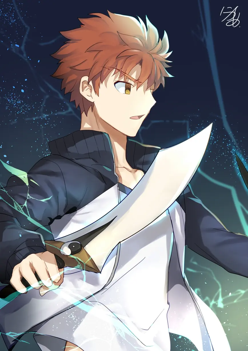Fate人物 卫宫士郎篇 Up精选超清壁纸 哔哩哔哩