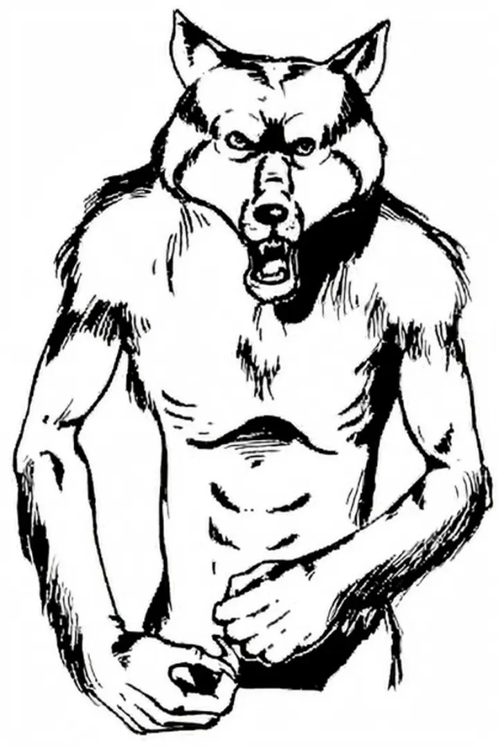 D D 神奇动物 第十期 人狼 哔哩哔哩