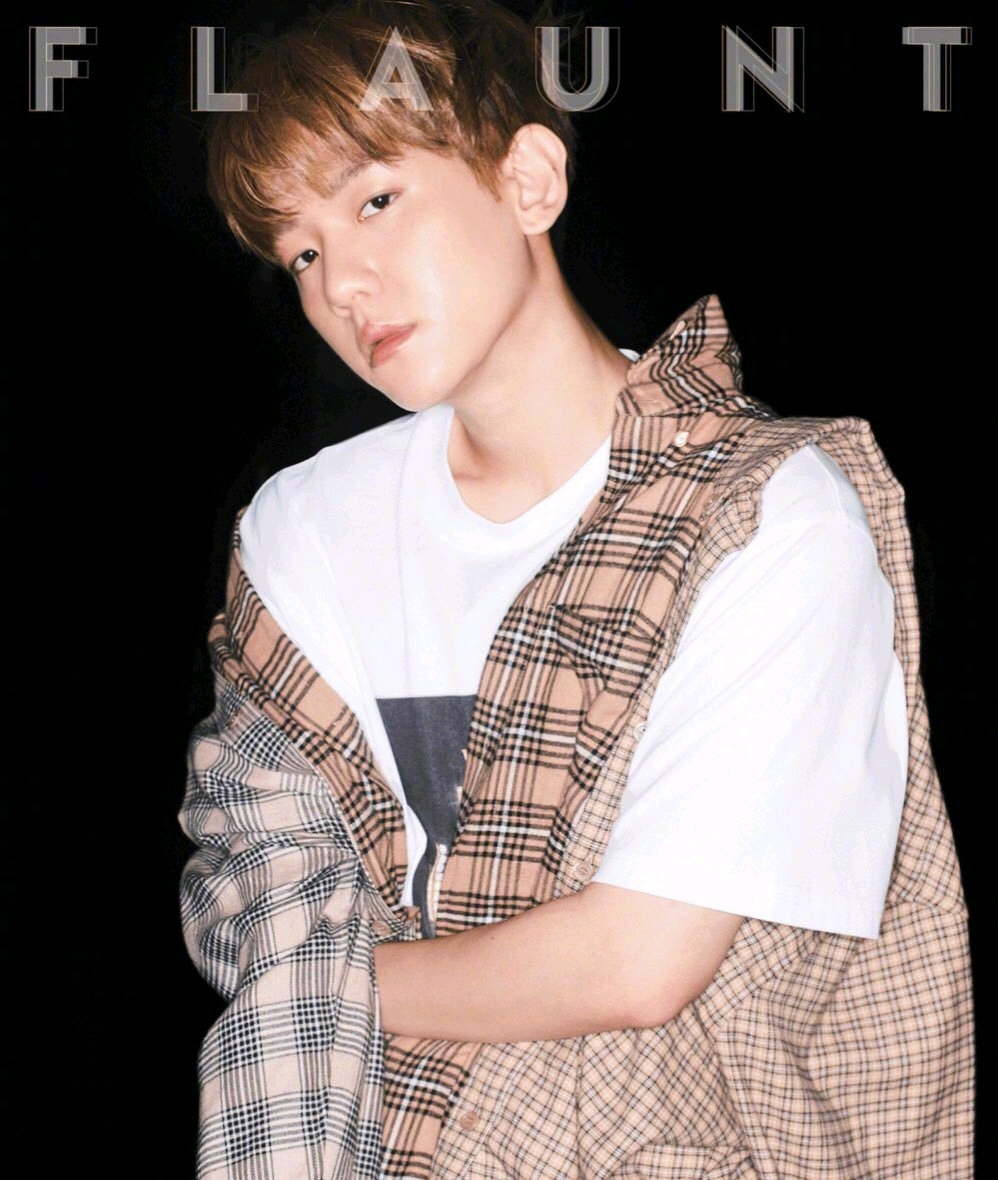 【exo边伯贤】当他失忆后跟你表白③