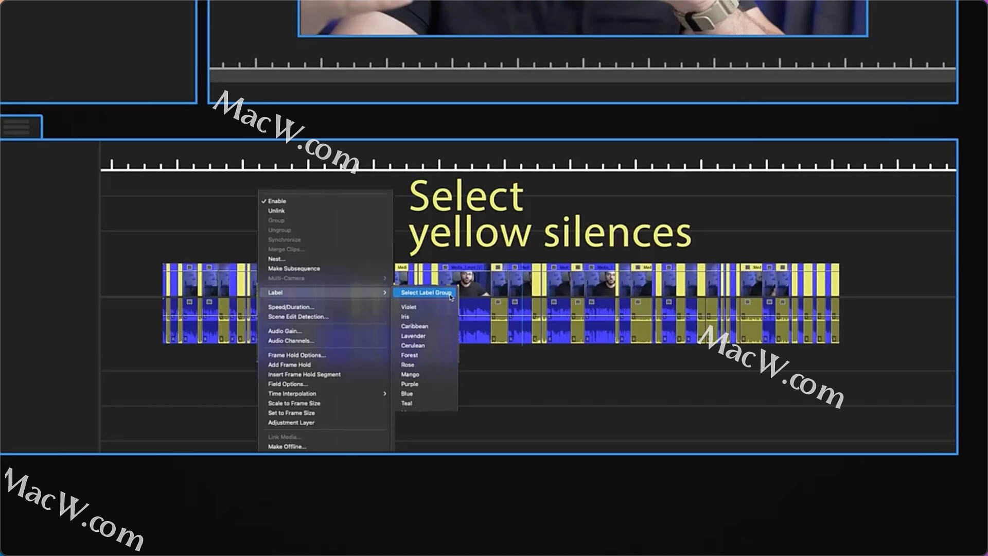 pr-silence-remover-for-mac
