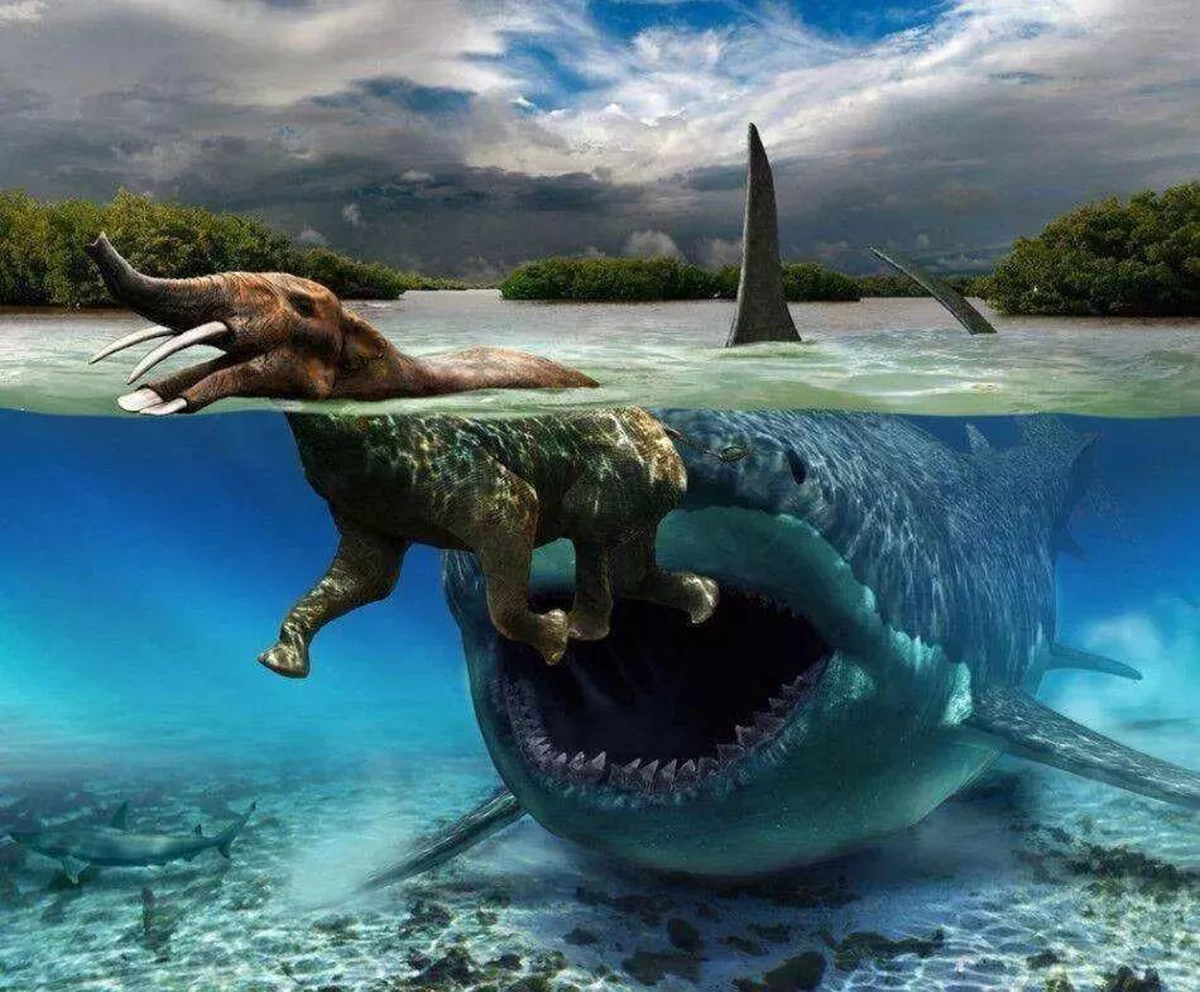 《历史生物学》：神秘巨齿鲨的身体形态仍然处于猜测的范畴 - 化石网