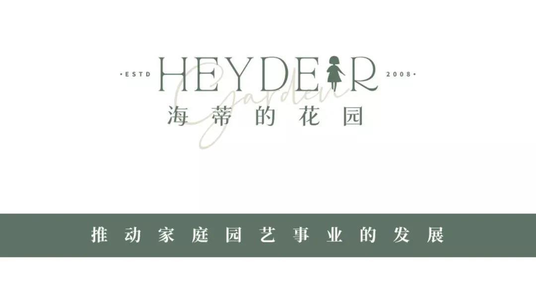 招聘信息_招聘信息发布文案_招聘信息发布