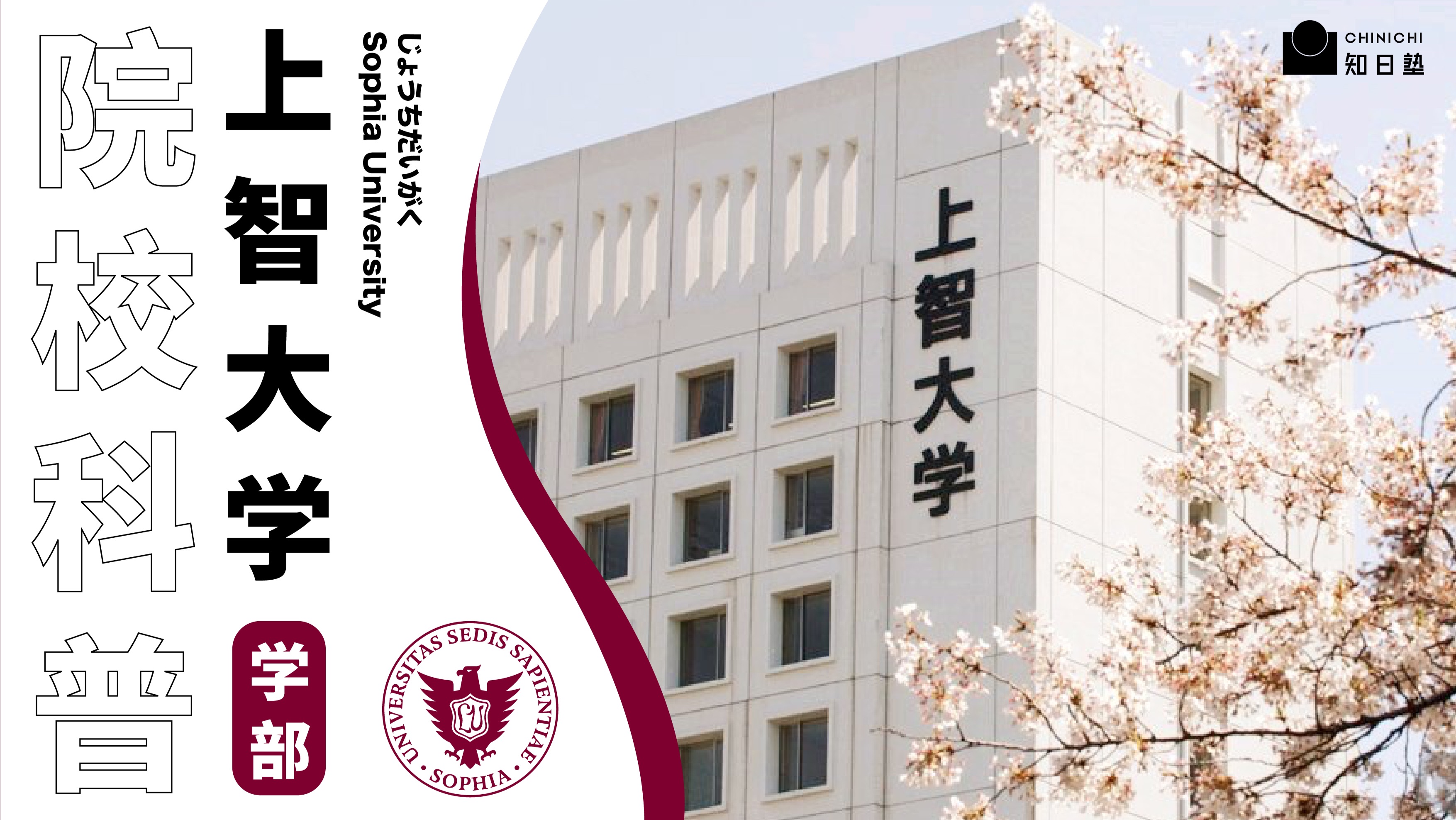 院校科普丨上智大学 就业率甩 早 庆 一条街 学部篇 哔哩哔哩