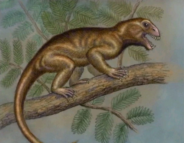 龙兽争霸第五期——恐头兽阴影之下卧薪尝胆的新兴类群