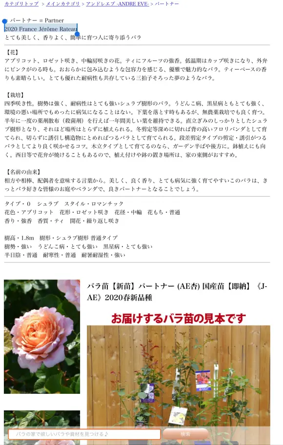 搬运 月季 晴空sunny Sky 哔哩哔哩