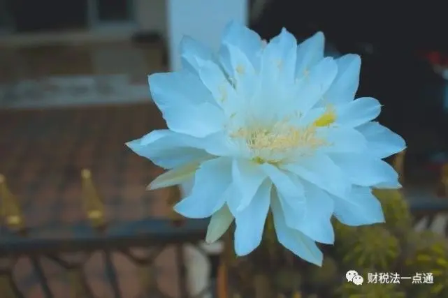 开公司好还是办个体工商户好 哔哩哔哩 开公司好还是办个体工商户好 哔哩哔哩