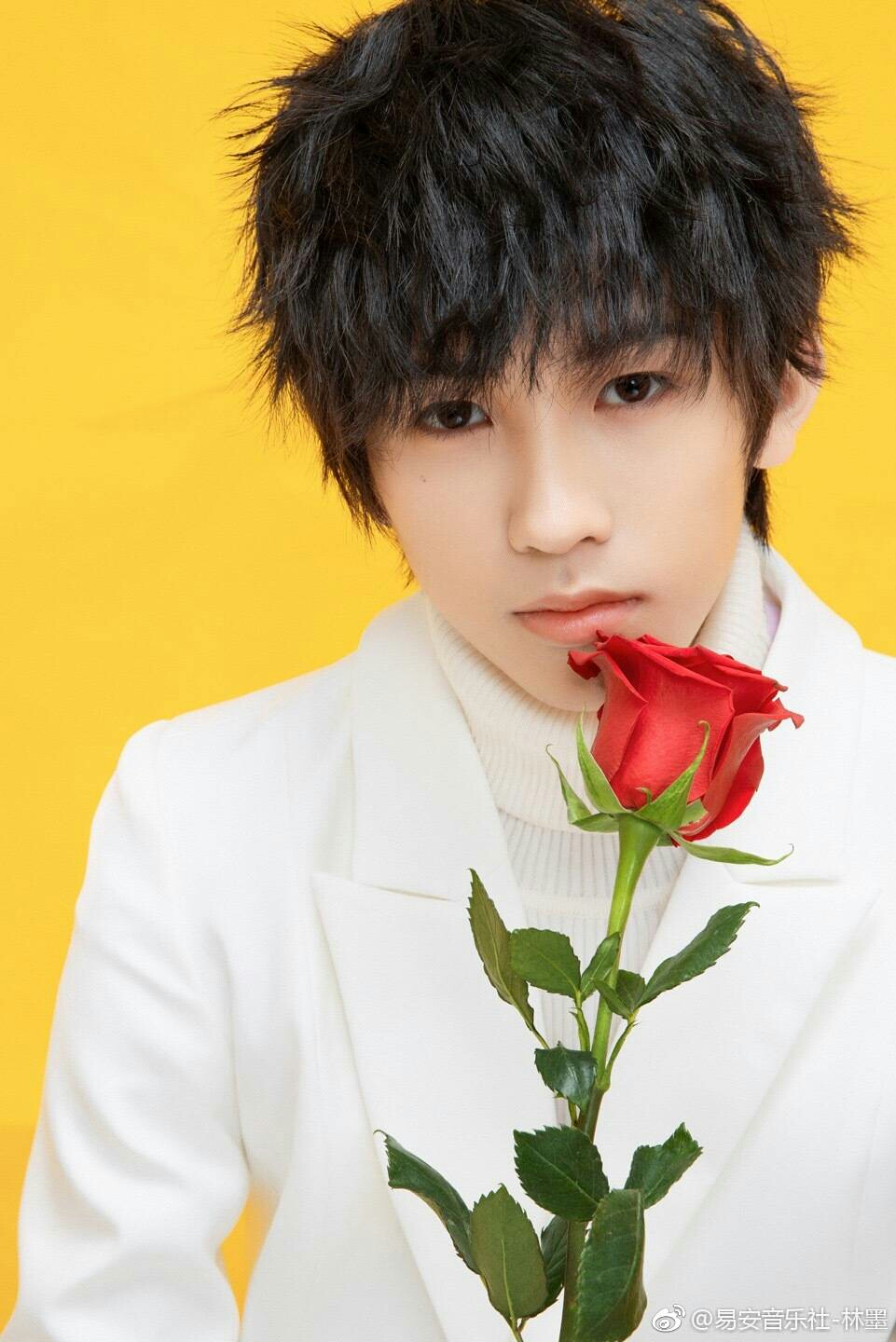 我会不定期的更新  希望你们会喜欢 张真源 敖子逸 贺峻霖 林墨 你们