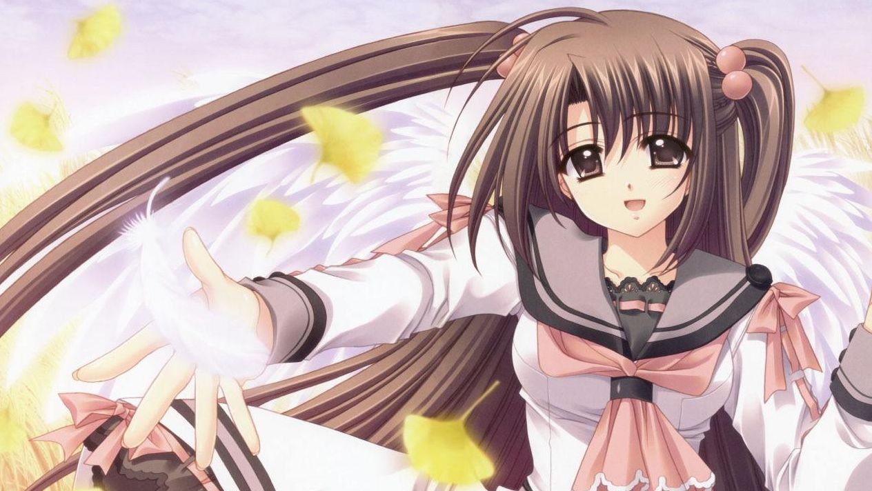 我们没有翅膀 但仍然能够飞翔 哔哩哔哩