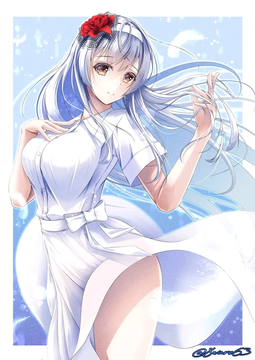 舰娘图集 舰队collection 翔鹤型