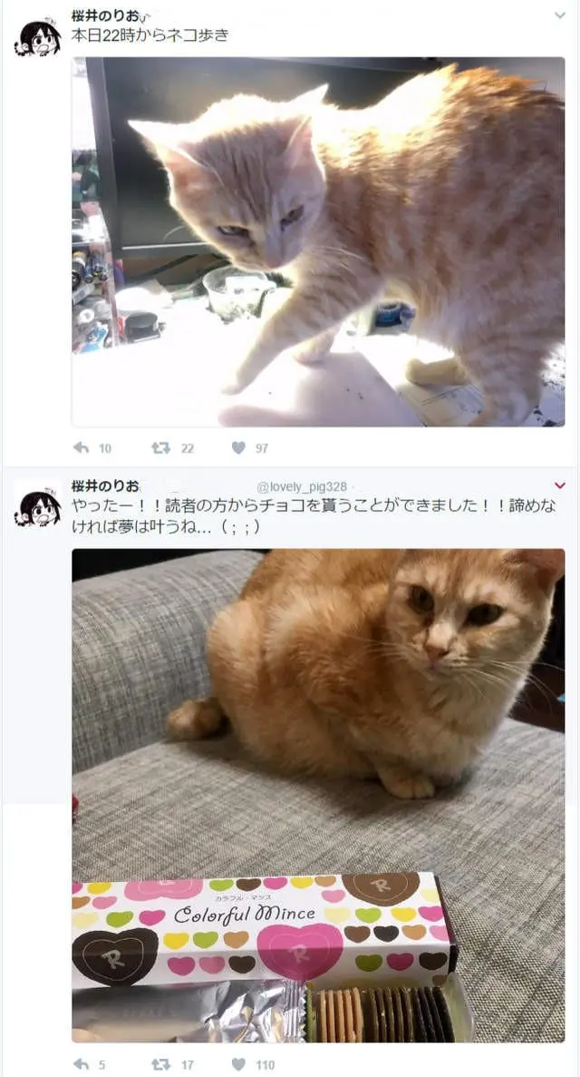 关注漫画家是为了看图 搞些猫猫狗狗干嘛呀 哔哩哔哩