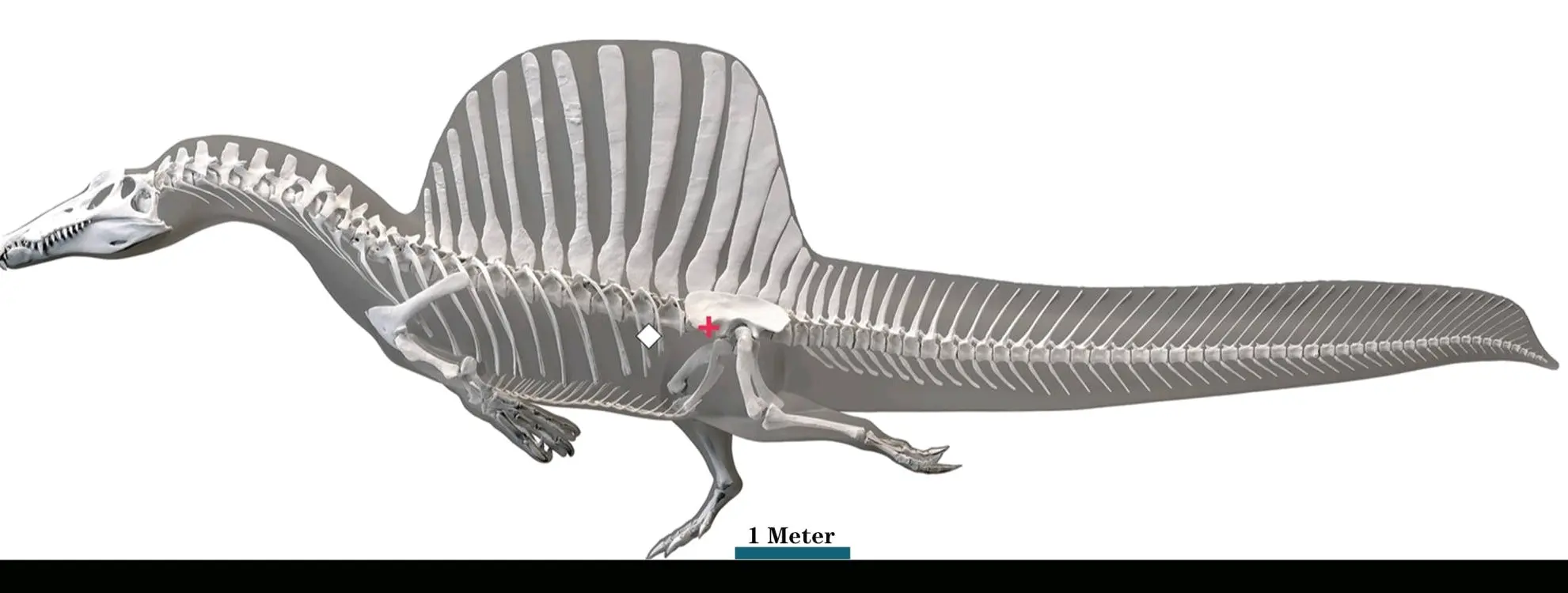 关于战神棘龙(侏罗纪公园)造型的优缺. - 哔哩哔哩