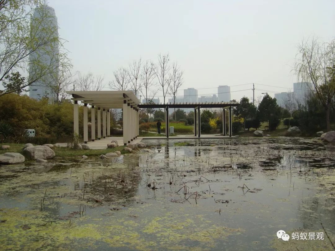 新春摄影比赛] 郑东新区 湿地公园 之二_摄影论坛_太平洋汽车网论坛
