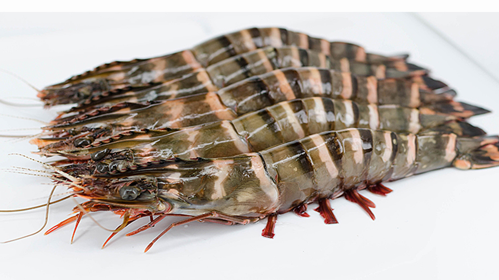 爱吃河虾的一定要收藏，教你5种简单美味的做法，每种都好吃极了 - 知乎