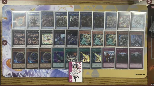 6 日本大会上位合集 铁兽 电脑堺 火灵天星 调皮 龙女仆优胜 哔哩哔哩