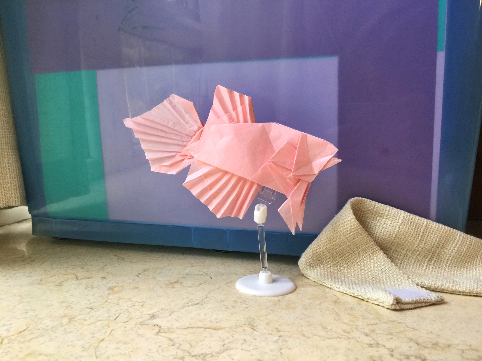 几款现代折纸常用纸张测评