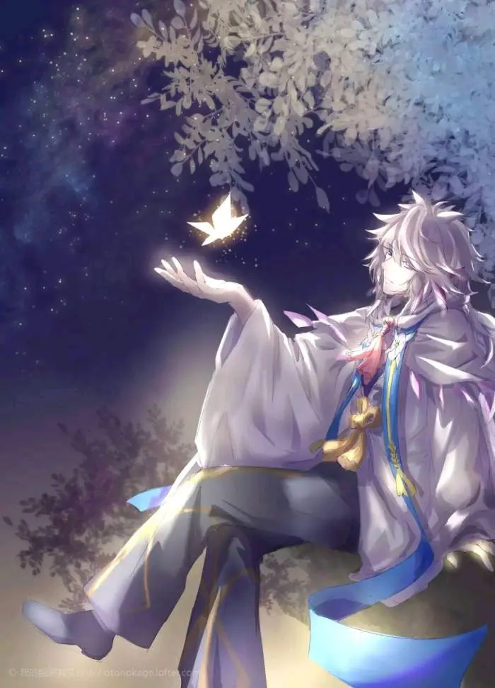 花之魔法师梅林 哔哩哔哩