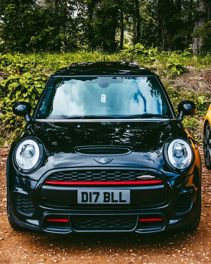 听说mini车友群小姐姐很多 可以拉我进车友群嘛 哔哩哔哩