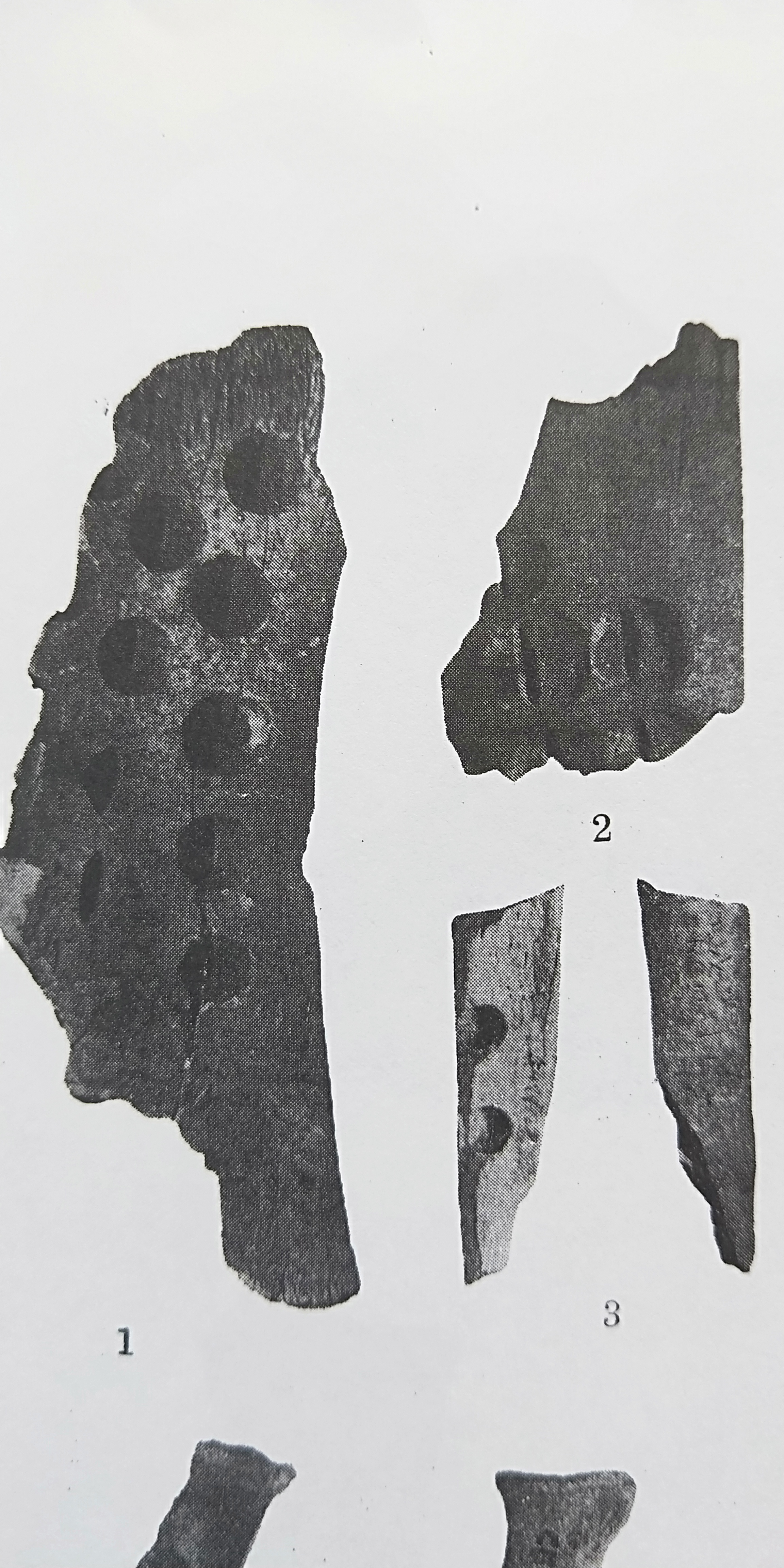 四钻凿(文字简化后为"钻凿")   甲骨反面有人工造作的凹槽,椭长形