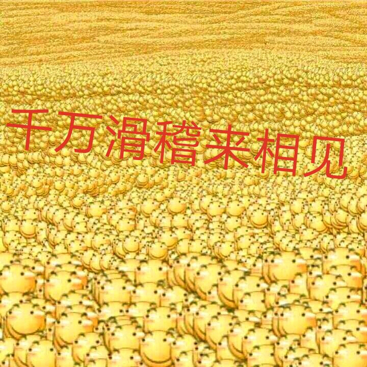 scp-cu-3000-主次元