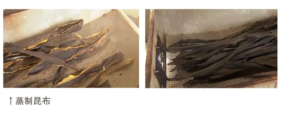 昆布 コンブ 到底是不是海带 哔哩哔哩